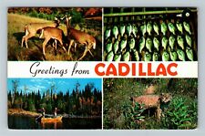Cadillac MI-Michigan, General Greetings, Vintage Postcard picture