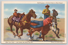 West Texas Bulldogging A Hereford Steer Linen Postcard picture