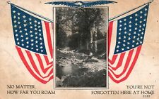 Vintage Postcard 1917 United States Of America Flagship Landscape Eagle Wings picture
