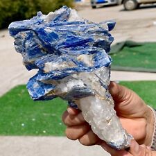 1.95LB Rare Natural beautiful Blue KYANITE with Quartz Crystal Specimen Rough picture