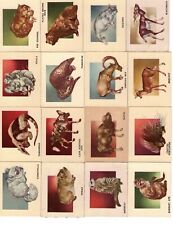 1951 ANIMALS OF THE WORLD SET (101 TO 200) picture