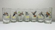 Vintage NED SMITH Game Bird HIGHBALL Glasses - set of 7 picture