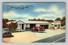 Largo FL-Florida, Orange Blossom Groves, Automobiles Vintage Souvenir Postcard picture