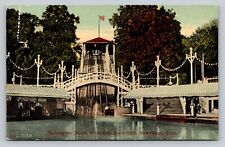 Amusement Park Chutes Flag White City Savin Rock New Haven Conn Antique Postcard picture