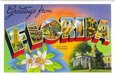 Florida Chrome Postcard Greetings From Big Letters Orange Blossom REPRO picture