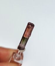 Amazing Bicolor Tricolor Gem Tourmaline Terminated Crystal - Madagascar 2.78g picture