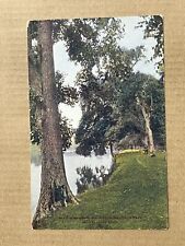 Postcard Minneapolis Minnesota Mississippi River From Riverside Park Vintage MN picture