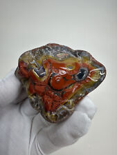 RARE Large Tumbled Kentucky Agate Palm Stone from Estill County, Kentucky picture
