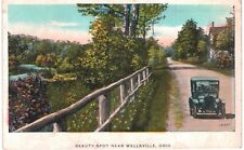 Wellsville Beauty Spot 1910 sOH  picture