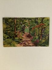 Artist Trail, Onteora Park, Tannersville, Catskill Mts., N.Y….Old Postcard picture
