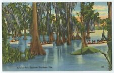 Cruise thru Cypress Gardens. Fla postcard A2 picture