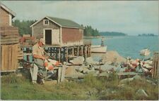 A Peaceful Inlet Fishing Waterside Scene Chrome Vintage Postcard picture