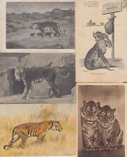 Vintage ANIMALS Postcards Pre-1940 TIGERS 27 (L3631) picture