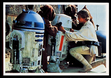 LUKE SKYWALKER 1977 Star Wars Topps Yamakatsu Large Luke Sizes Up Droid C3 picture