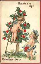 Tuck Valentine Mischievous Cupids Pick Apple Hearts Fantasy c1910 Postcard picture