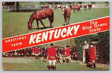 Greetings From Kentucky Banner Vintage Chrome Postcard Bluegrass State Horses picture