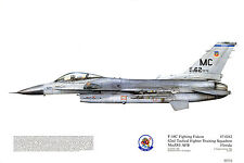 Squadron Print 326 F16C Fighting Falcon 62 TFTS MacDill USAF Aviation Art picture