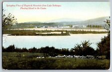 Maine - Springtime View of Haystack Mountain - Lake Sadawga - Vintage Postcard picture