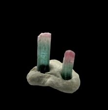 Matchstick Bi-Color Tourmaline Crystal: Mt Mica Mine. Oxford County, Maine 🇺🇸 picture