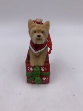 The Humane Society of the United States Christmas Ornament Yorkie Inside Box picture
