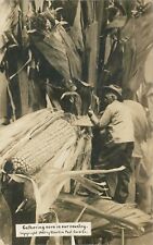 1909 Postcard Gathering Corn In Our Country Exaggerated Novelty RPPC -Martin picture
