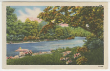 Landscape Postcard View Pleasant Stream With Flowers And Grass c1940s vintage G4 picture