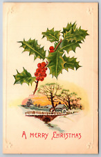 Merry Christmas C.B. Henschel Mfg. Milwaukee Sample Postcard Emb. c1910's VGC picture