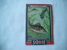 1933 Goudey Boy Scouts FISH Series #19 THE YELLOW PERCH picture