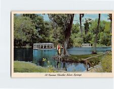 Postcard At Famous Florida's Silver Springs USA picture