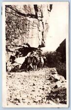 RPPC SALMON IDAHO OREGON TRAIL PACK MULES BURROS ANTIQUE POSTCARD**SEE BACK** picture