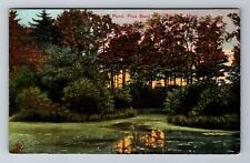 Malden, MA-Massachusetts, Island Pond Pine Bank Park c1911, Vintage Postcard picture