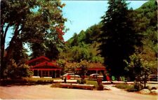 Big Sur Lodge, BIG SUR, California Chrome Postcard picture