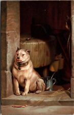 Postcard Low Life Homeless White Dog Licking Lips in Doorway of Shed~3890 picture