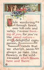 Vintage Postcard 1919 Remembrance of Friendship A Delightful Companion Souvenir picture
