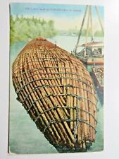 c1900s Antique Postcard Log Raft Of 8,000,000 Ft. Of Timber A5713 picture
