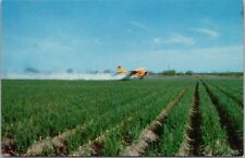 c1950s Lower Rio Grande Valley, Texas Postcard Crop Dusting Airplane Field View picture