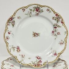 MINT/Rare Antique Haviland Co Limoges Scalloped Hand Painted Floral Plates 9.5in picture