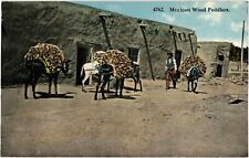Mexican Wood Peddlers Donkeys Mexico Divided Unposted Postcard c1910 picture