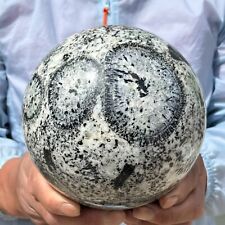11.07LB Rare Natural Petrified Kiwi Fruit Fossil Magic Ball Therapy Healing/HUBE picture
