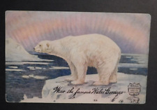 Mint Wales Goodyear Shoe Co Postcard Polar Bear Ice Addressed Illinois USA picture