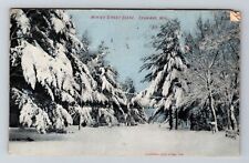 Shawano WI-Wisconsin, Winter Street Scene, Snowy Pines, Vintage Postcard picture