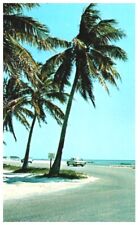 FLORIDA-LAND OF SUN BLUE WATERS,WHITE SANDS & PALMS.VTG POSTCARD*D14 picture