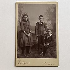 Antique Cabinet Card Photograph Adorable Children Boy Girl Waterloo NY picture