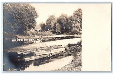 c1910's View Of Residence Forest Silver Creek New York NY RPPC Photo Postcard picture