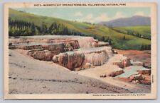1935 Postcard Mammoth Hot Springs Terraces Yellowstone National Park WY picture