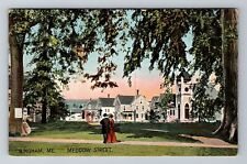 Bingham, ME-Maine, Meddow Street Pathway Homes c1910, Vintage Postcard picture