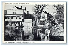 Fallen Trees And Flood At Concord New Hampshire NH, Stears Grocery Co. Postcard picture