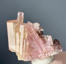 38 Carat Pink Tourmaline Crystal Specimen From Pakistan picture
