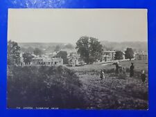 Antique Photo Print, c1900s The Common Tunbridge Wells Kent YN6 picture