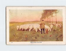 Postcard The Sheep Pasture picture